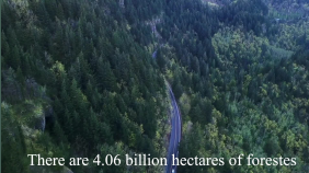 thumbnail of medium The PSA For The Trees