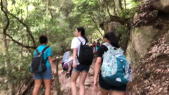thumbnail of medium ELO Hiroshima 2018